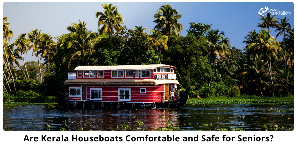 Senior-Friendly Kerala Houseboats - Comfort & Safety Tips