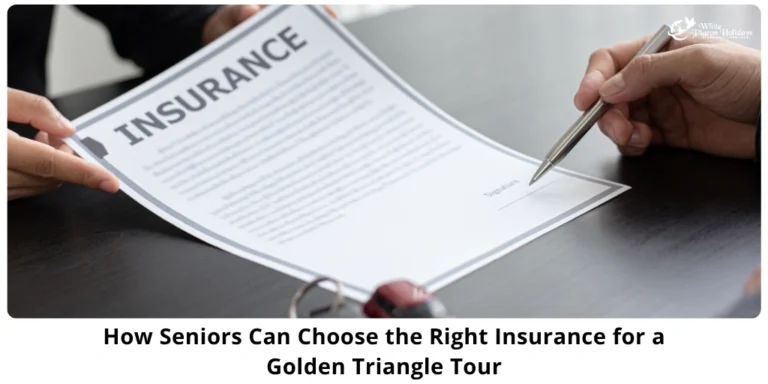 Seniors travel insurance for golden triangle india tour