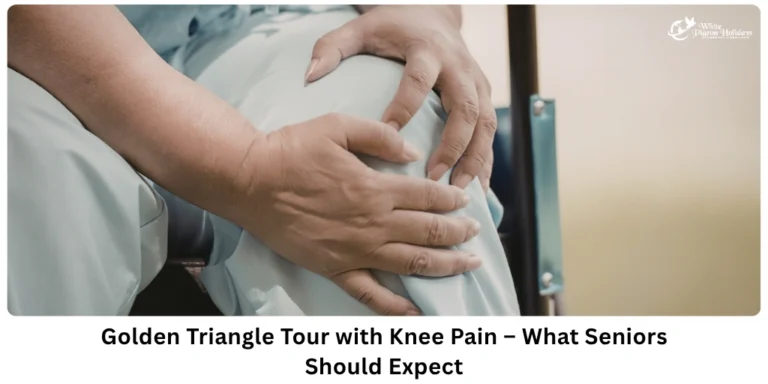 Seniors with Arthritis or Knee Pain Do a Golden Triangle Tour