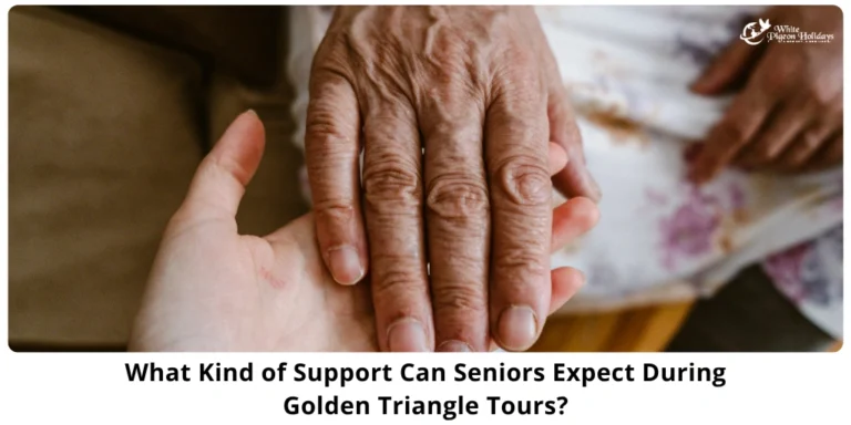 Sightseening for seniors in golden triangle india tour