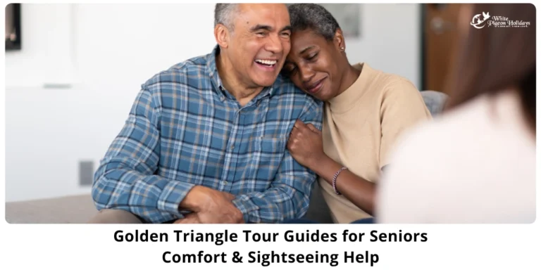 Sightseening for seniors in golden triangle india tour