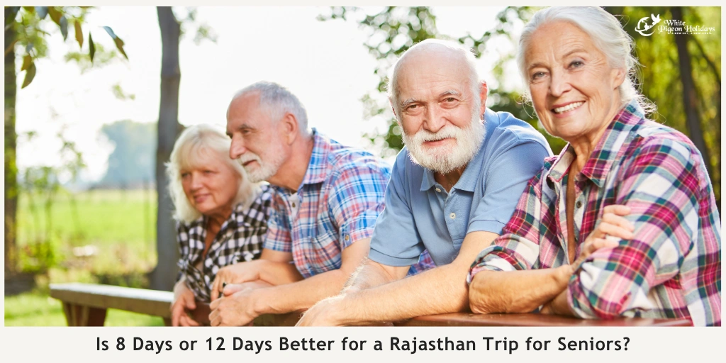 8-Day vs 12-Day Rajasthan Tours Which Gives Seniors More Comfort