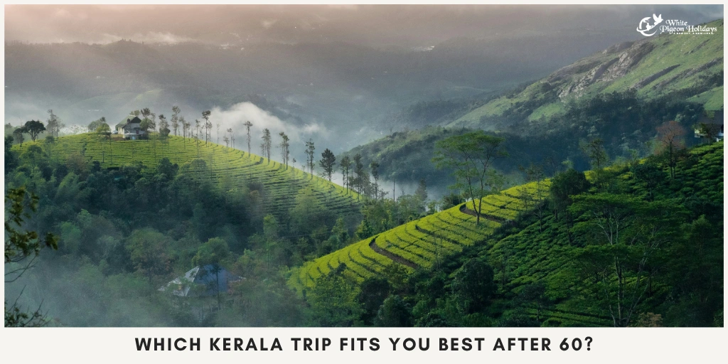 Best Kerala Itinerary Based on Relaxation, Nature or Wellness