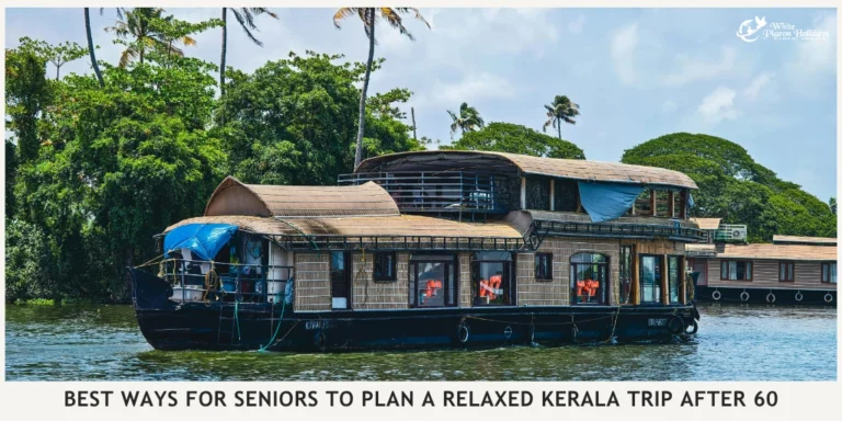 Build Your Kerala Route Around Comfort and Driving Time