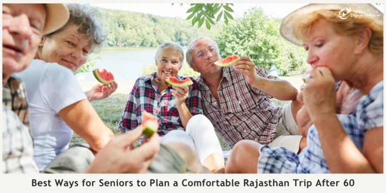 Build Your Rajasthan Route Around Energy Levels
