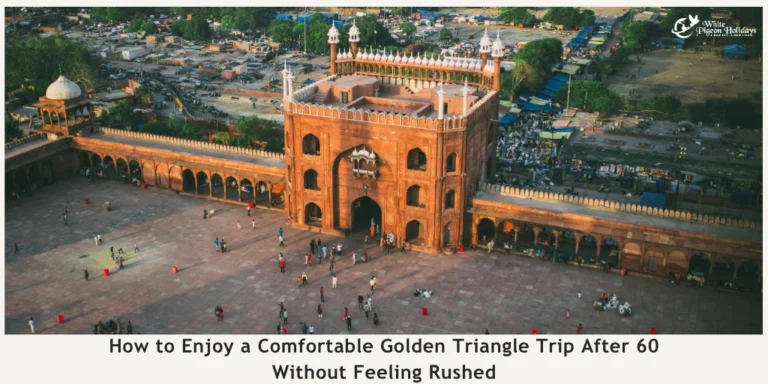 How Seniors Can Build a Golden Triangle Trip That Actually Feels Comfortable