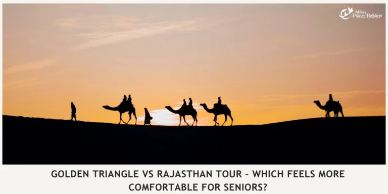 How Seniors Can Decide Which India Route Fits Them Better