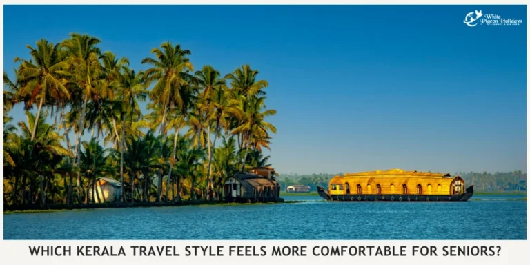 How Seniors Can Decide Which Kerala Route Fits Them Better