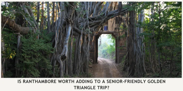 How Seniors Can Make a Ranthambore Extension Feel More Comfortable