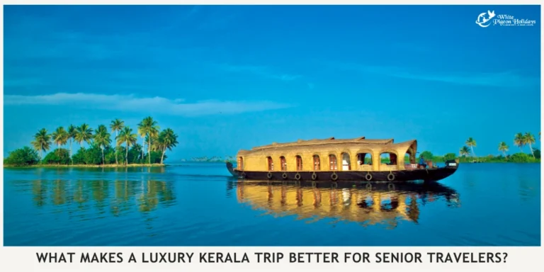 Is Luxury Kerala Worth It for Retired Travelers