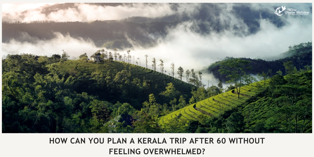 Kerala Itinerary Builder for Seniors Based on Comfort, Budget & Interests