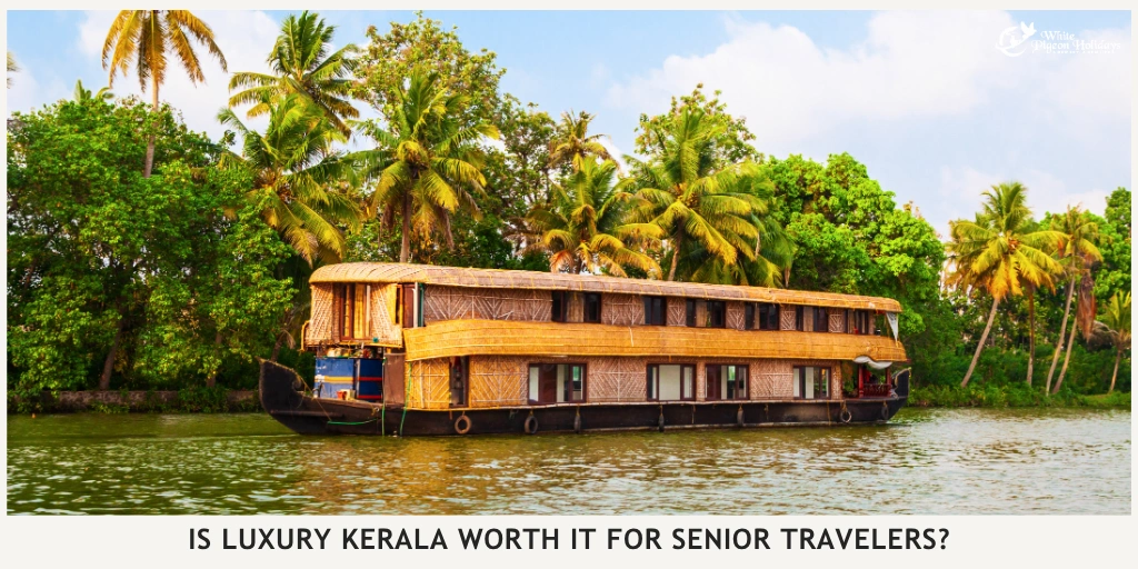Luxury Kerala vs Budget Kerala Itinerary for Seniors What Changes