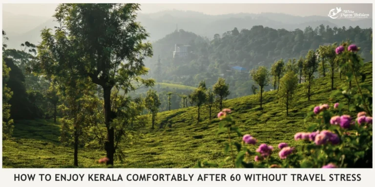 Match Kerala Trip Length to Your Travel Style