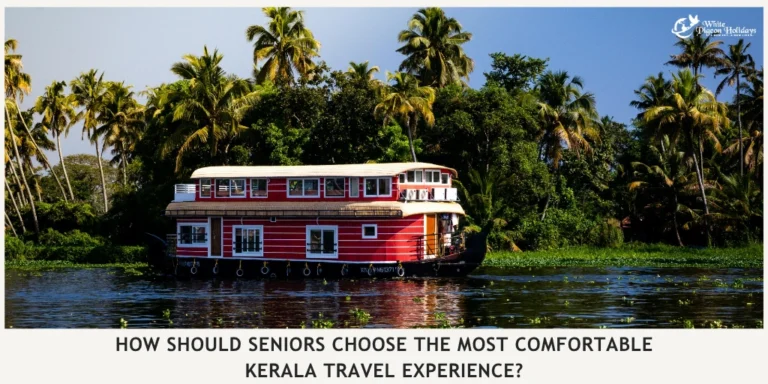 The Kerala Wellness Retreat Best for Rejuvenation and Slow Travel