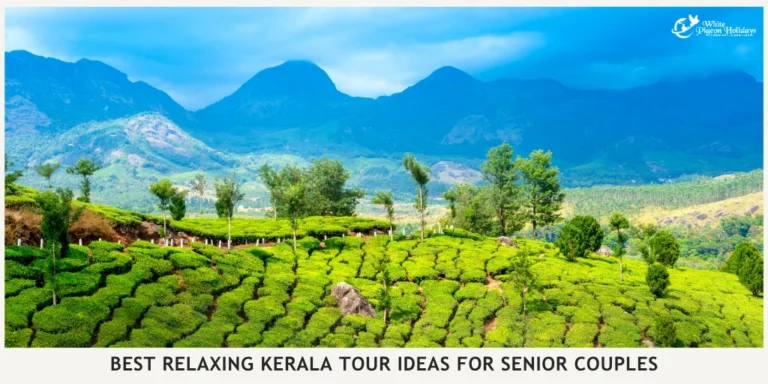 The Most Relaxing Kerala Route for Senior Couples