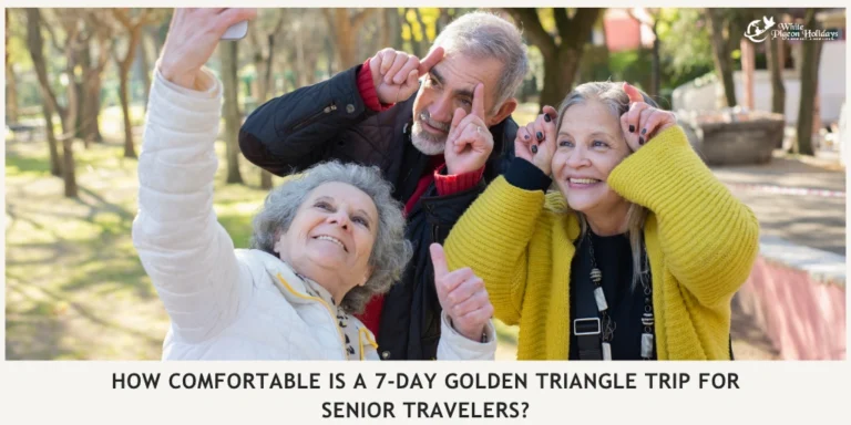 What a Comfortable 7-Day Golden Triangle Itinerary Usually Looks Like.