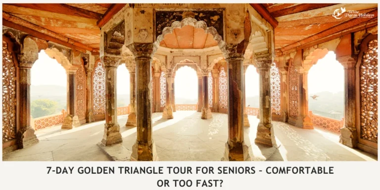 What a Comfortable 7-Day Golden Triangle Itinerary Usually Looks Like
