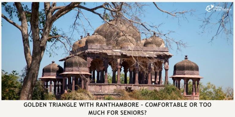 Why Many Seniors Prefer the Classic Delhi-Agra-Jaipur Route