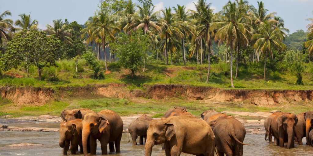 Luxury Kerala Travel