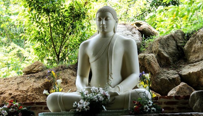 buddha, sri lanka, mahamevnawa-1790619.jpg