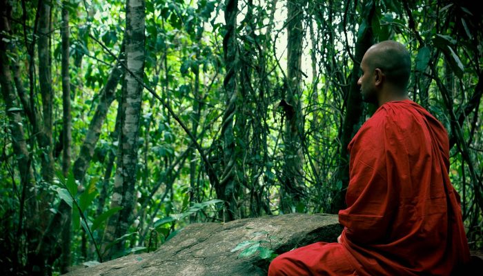 meditation, bhikkhu, mahamevnawa-1777522.jpg