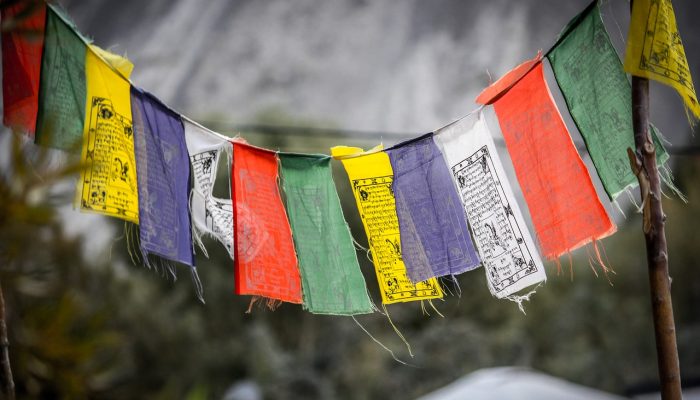 photography, ladakh, india-2443191.jpg