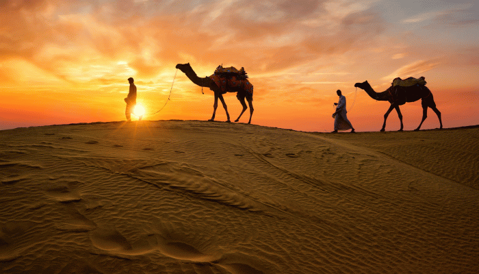 rajasthan-camels-desert-india