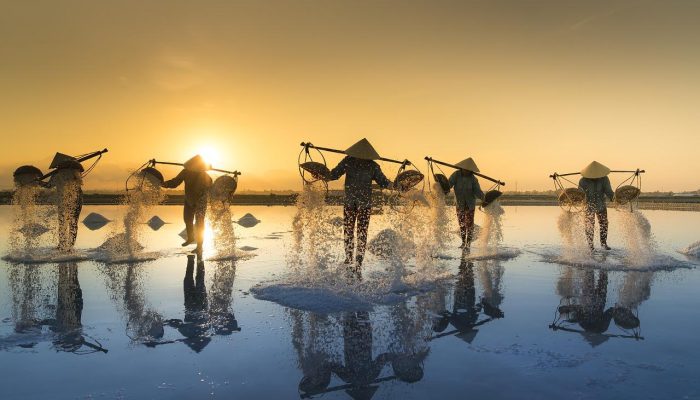 salt harvesting, vietnam, water-3060093.jpg