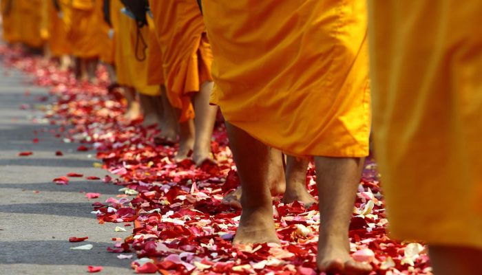 walk, buddhists, monks-455903.jpg